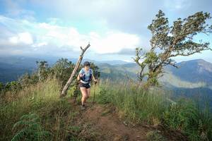 BIB: 
                            <button type="button" onclick="openModal(22450625)" class="btn btn-primary btn-sm float-right btn-popup" data-toggle="modal" data-target=".modal-high-quality">
                        <i class="fas fa-shopping-cart"></i> Add to Cart
                    </button>
                                            <button type="button" onclick="isThisMe(22450625, true)" class="btn btn-success btn-sm float-right btn-popup btn-isme hidden" data-toggle="tooltip" data-placement="bottom" title="นี่คือรูปของคุณใช่ไหม คลิกที่นี่เพื่อเอาเข้าอัลบั้ม">
                        <i class="fas fa-plus"></i> Add to album
                    </button>
                    <button type="button" onclick="isThisMe(22450625, false)" class="btn btn-warning btn-sm float-right btn-popup btn-isnotme hidden">
                        <i class="fas fa-ban"></i> Remove from album
                    </button>